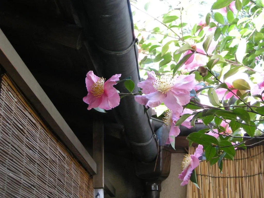 Guesthouse itoya Kyoto（京都糸屋旅馆） 0*, 京都